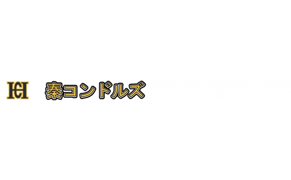 秦コンドルズメイン画像