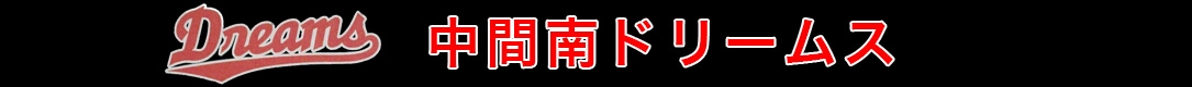 中間南ドリームス