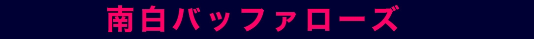 南白バッファローズ