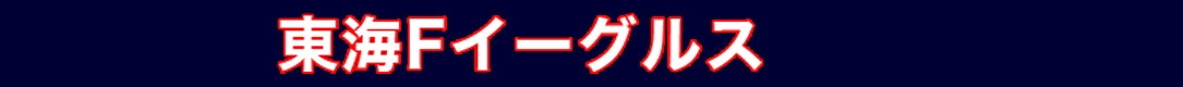 東海Fイーグルス